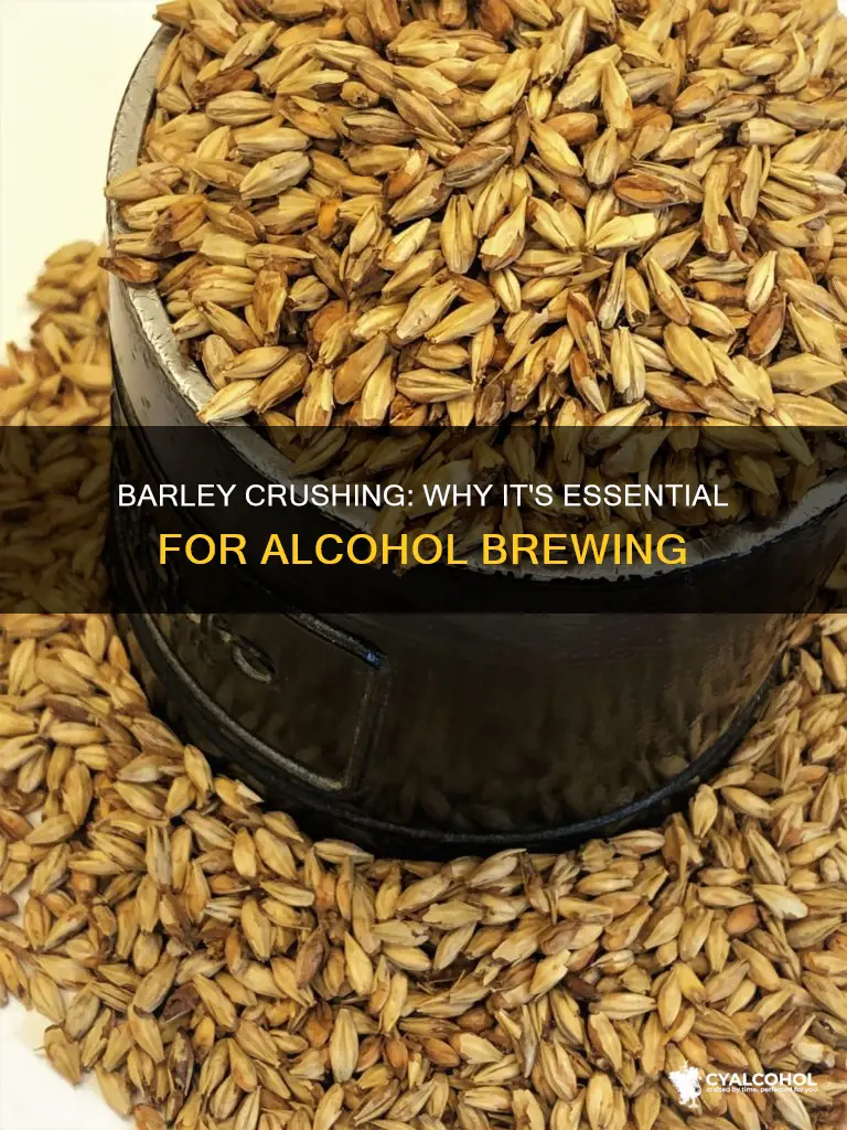does barley need to be crushed when making alcohol