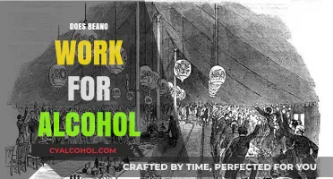 Exploring the Myth: Can Beano Really Neutralize Alcohol's Effects?