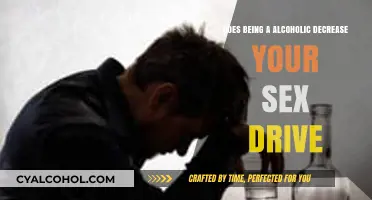 Alcoholism and Libido: How Drinking Impacts Your Sex Drive