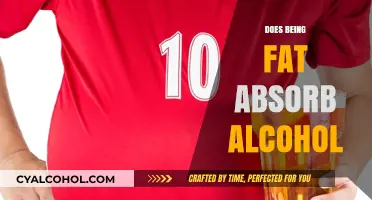 Exploring the Myth: Does Body Fat Really Absorb Alcohol?