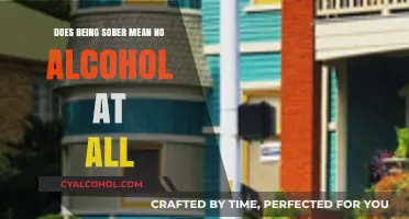 Sober Living: Does It Require Complete Abstinence from Alcohol?