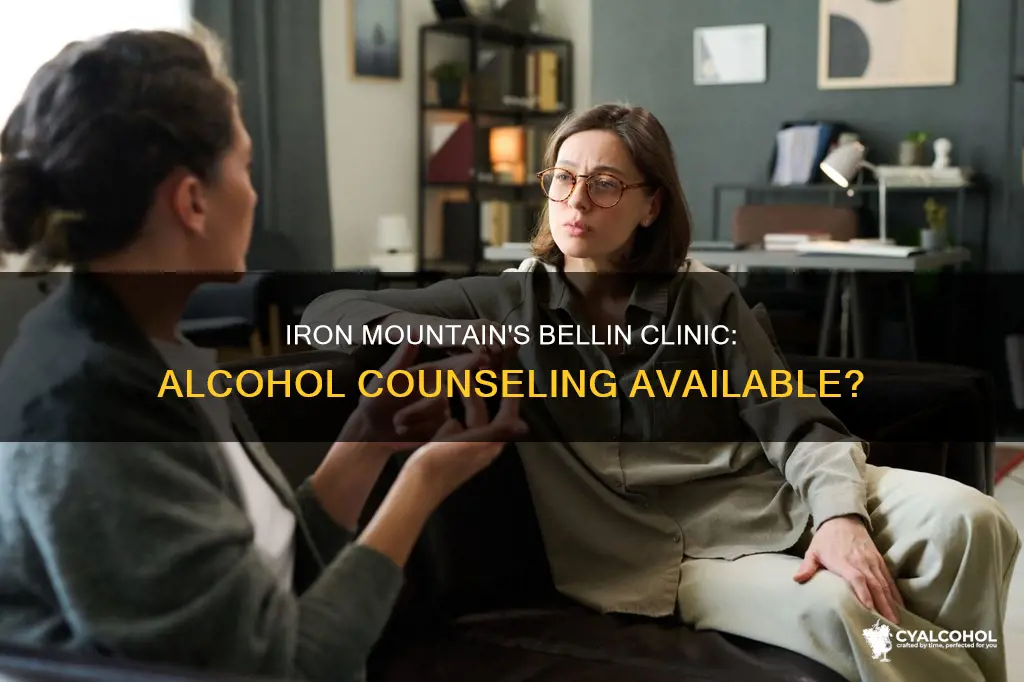 does bellin clinic iron mountain mi offer alcohol couseling