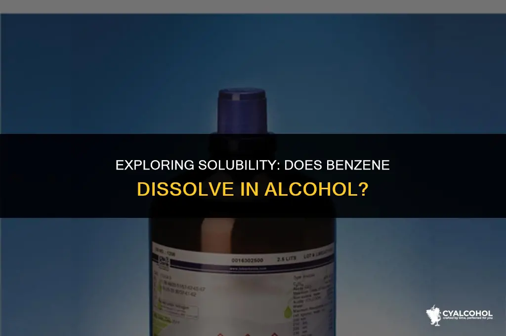 does benzene dissolve in alcohol