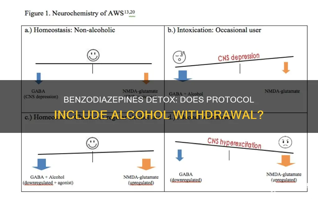 does benzodiazepines detox protocol cover alcohol as well as