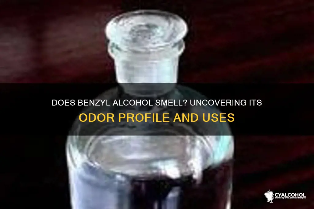 does benzyl alcohol have an odor