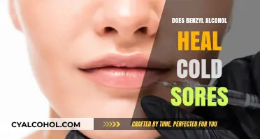 Can Benzyl Alcohol Effectively Heal Cold Sores? Facts and Insights