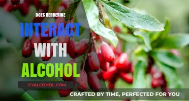 Exploring Berberine and Alcohol: A Guide to Safe Supplement Use
