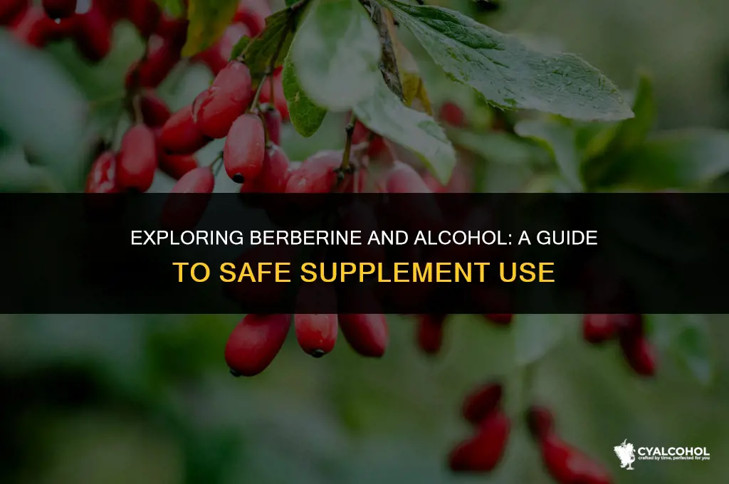 does berberine interact with alcohol