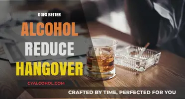 Exploring the Myth: Does Premium Alcohol Really Ease Hangovers?