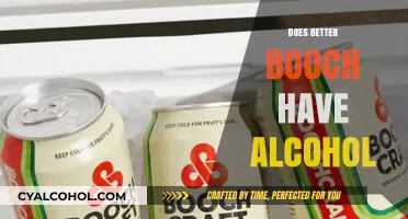 Exploring the Ingredients: Does Better Booch Contain Alcohol?