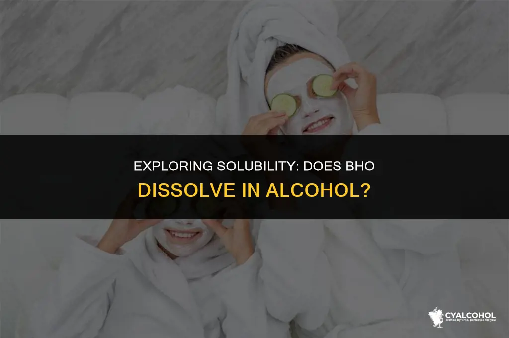 does bho dissolve in alcohol