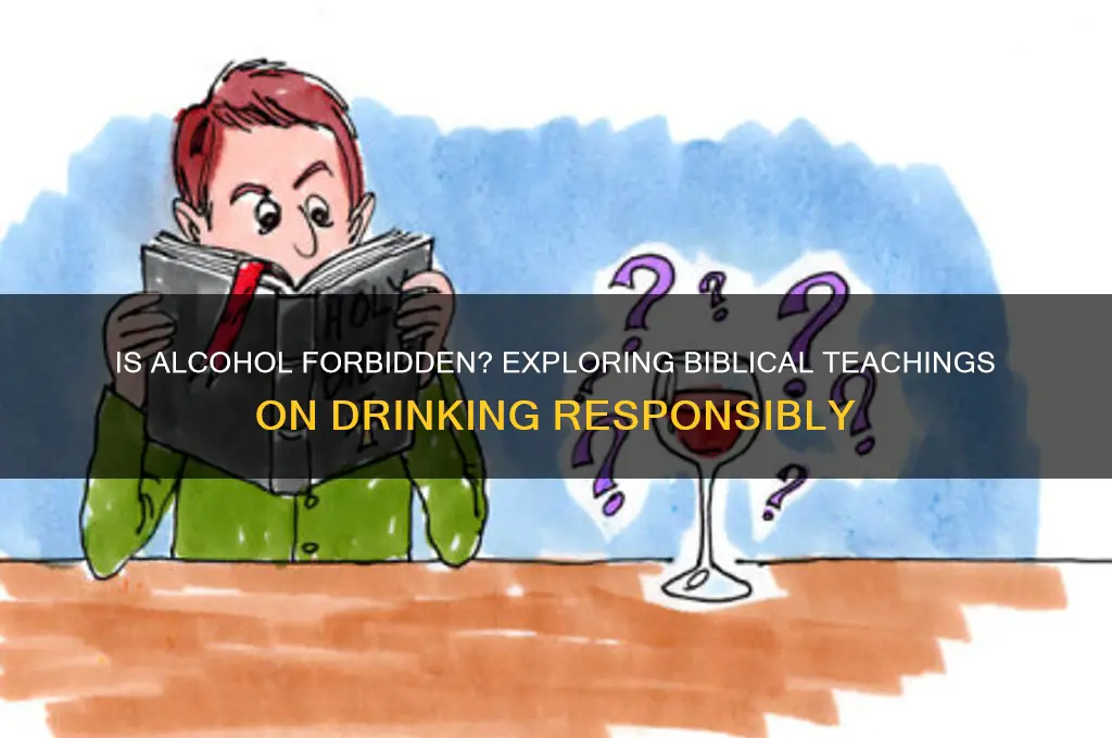 does bible against alcohol