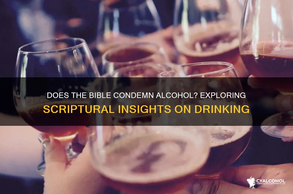 does bible forbid alcohol