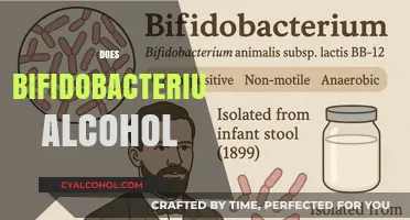Bifidobacterium and Alcohol: Understanding Their Interaction and Effects