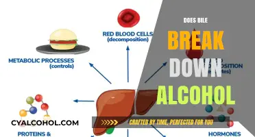 Unveiling the Truth: Bile's Role in Alcohol Metabolism Explained