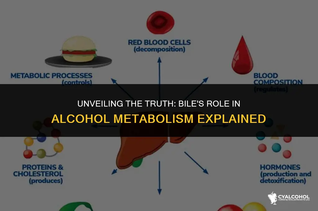 does bile break down alcohol
