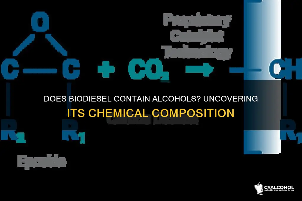 does biodiesel have alcohols in it