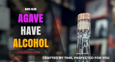 Exploring the Alcohol Content in Blue Agave: Facts and Myths
