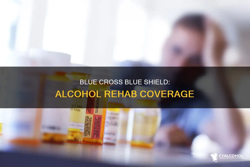 does blue cross blue sheild insurance cover alcohol rehab