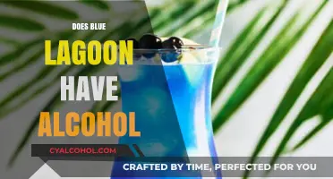 Exploring Blue Lagoon: A Guide to Alcohol Availability and More