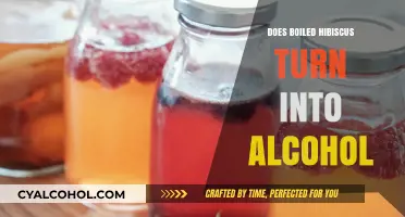 Can Boiled Hibiscus Ferment into Alcohol? Exploring the Science