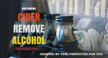 Sipping Safely: The Truth About Boiling Cider and Alcohol Removal