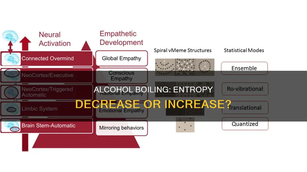 does boiling of alcohol decrease the entropy of the system