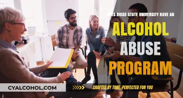 Alcohol Abuse Programs at Boise State University