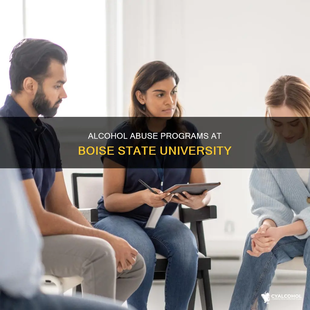 does boise state university have an alcohol abuse program