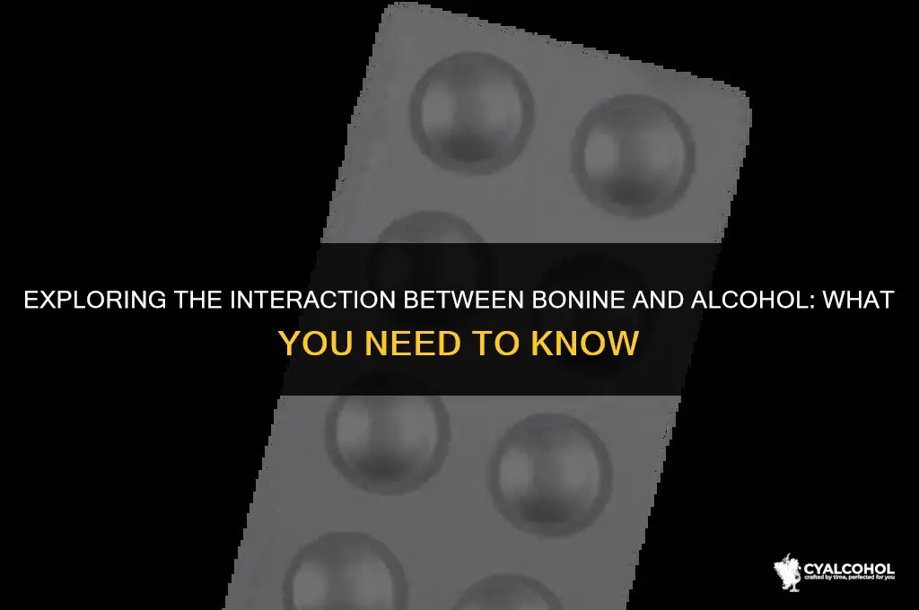 does bonine interact with alcohol