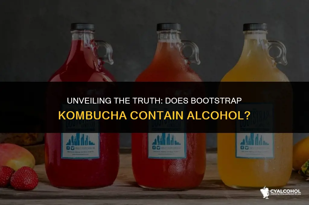 does bootstrap kambucha have alcohol