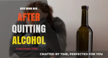 Can Your Brain Recover After Quitting Alcohol? Here's What Science Says