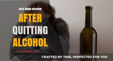 Can Your Brain Heal After Quitting Alcohol? Recovery Insights