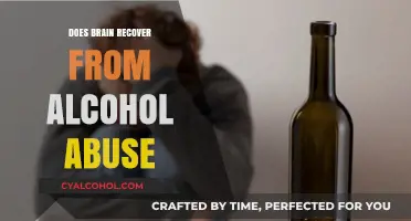 Can the Brain Heal After Alcohol Abuse? Recovery Insights