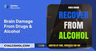 Healing the Mind: Can the Brain Fully Recover from Alcohol Abuse?