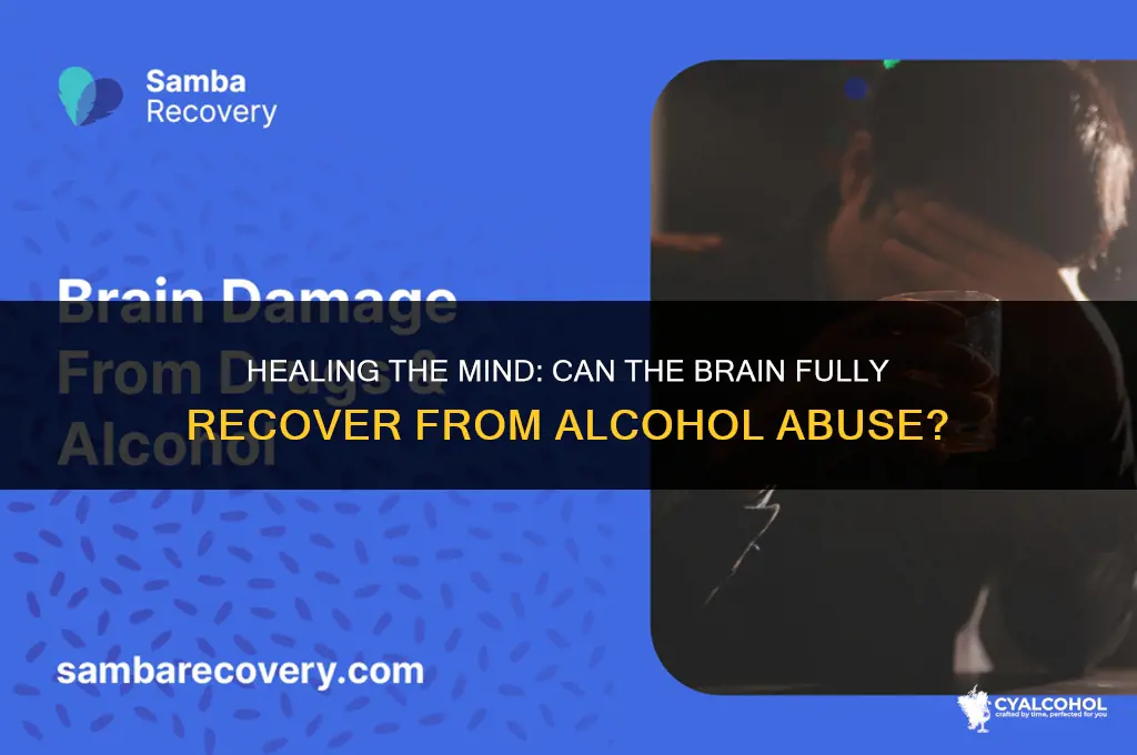 does brain recover from alcohol