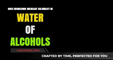 Branching Effects on Alcohol Solubility in Water: Exploring the Science