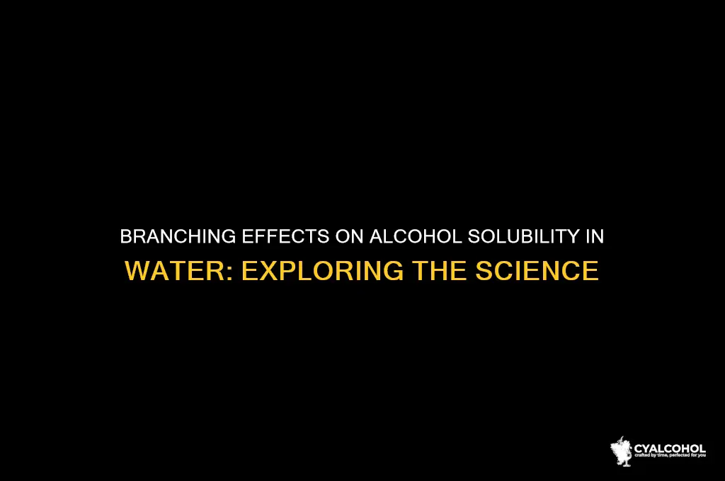 does branching increase solubility in water of alcohols