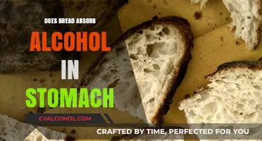 Can Bread Absorb Alcohol in Your Stomach? Facts and Myths