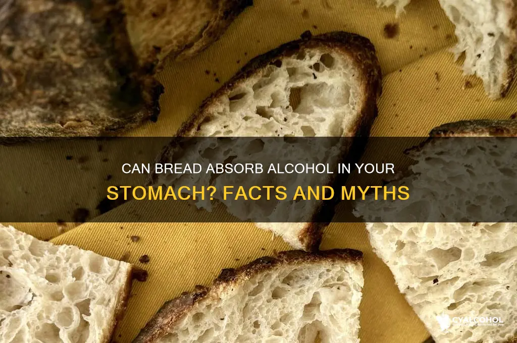 does bread absorb alcohol in stomach