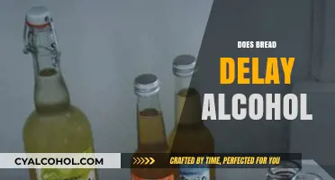Does Bread Slow Alcohol Absorption? Facts and Myths Explained