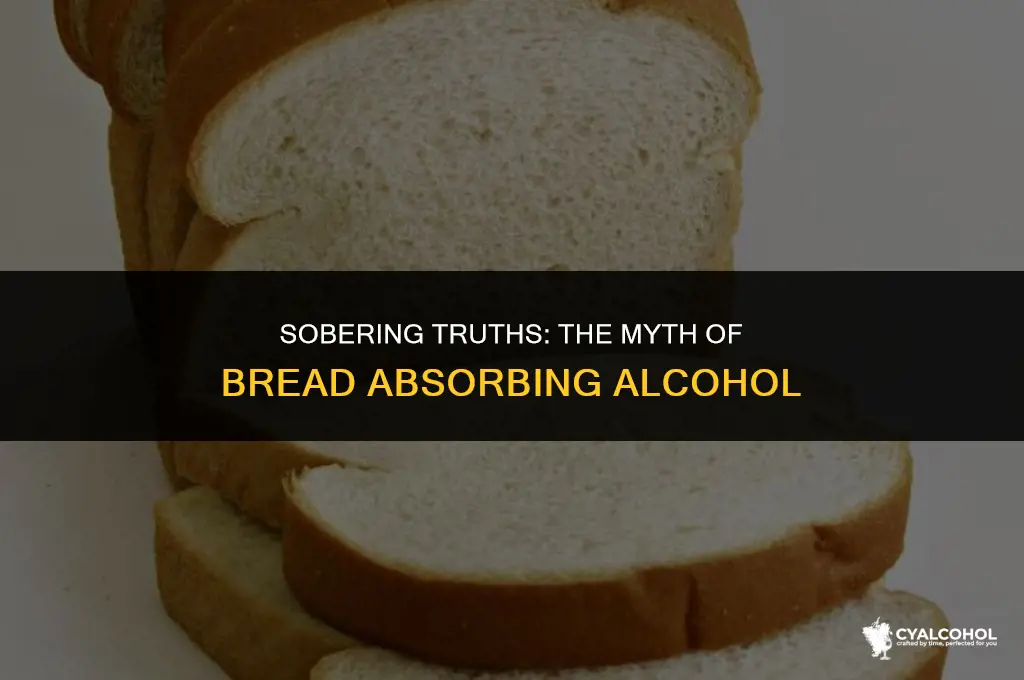 does bread really absorb alcohol