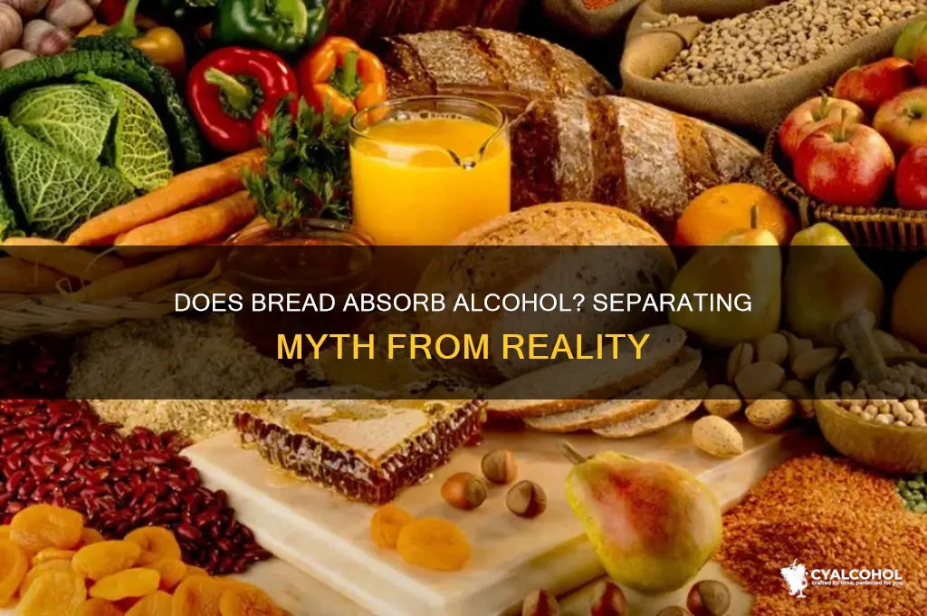 does bread really soak up alcohol