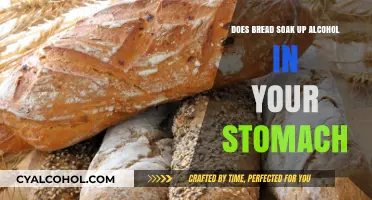 Can Bread Absorb Alcohol in Your Stomach? Debunking the Myth