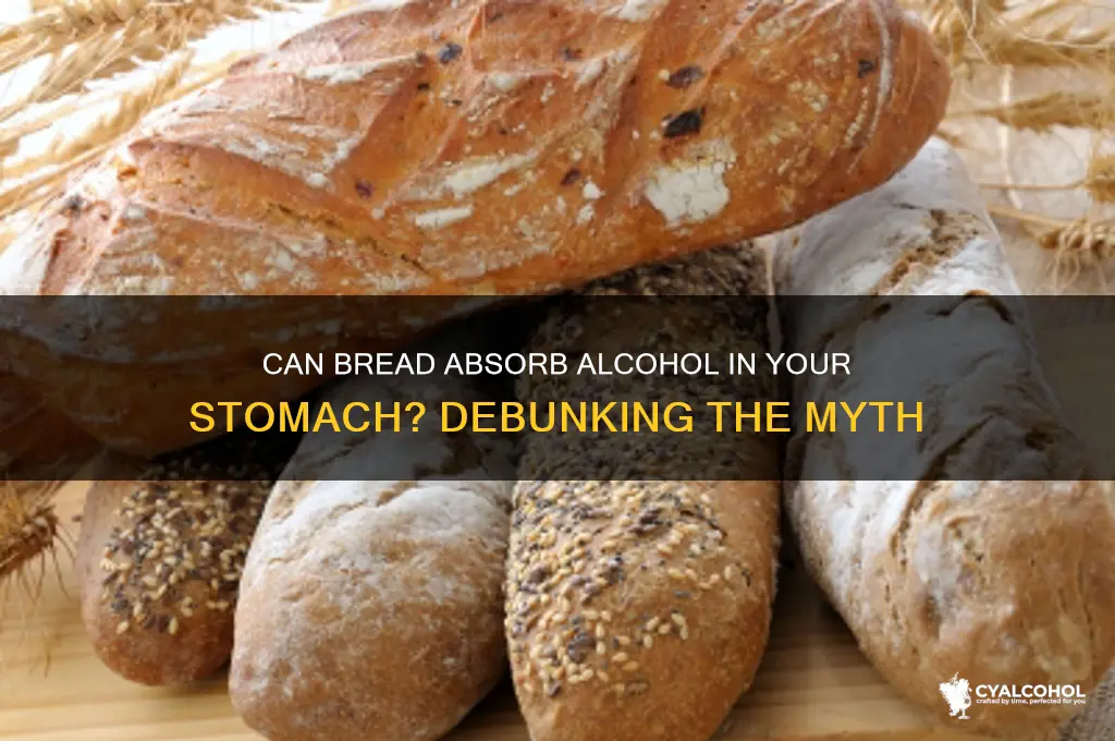 does bread soak up alcohol in your stomach