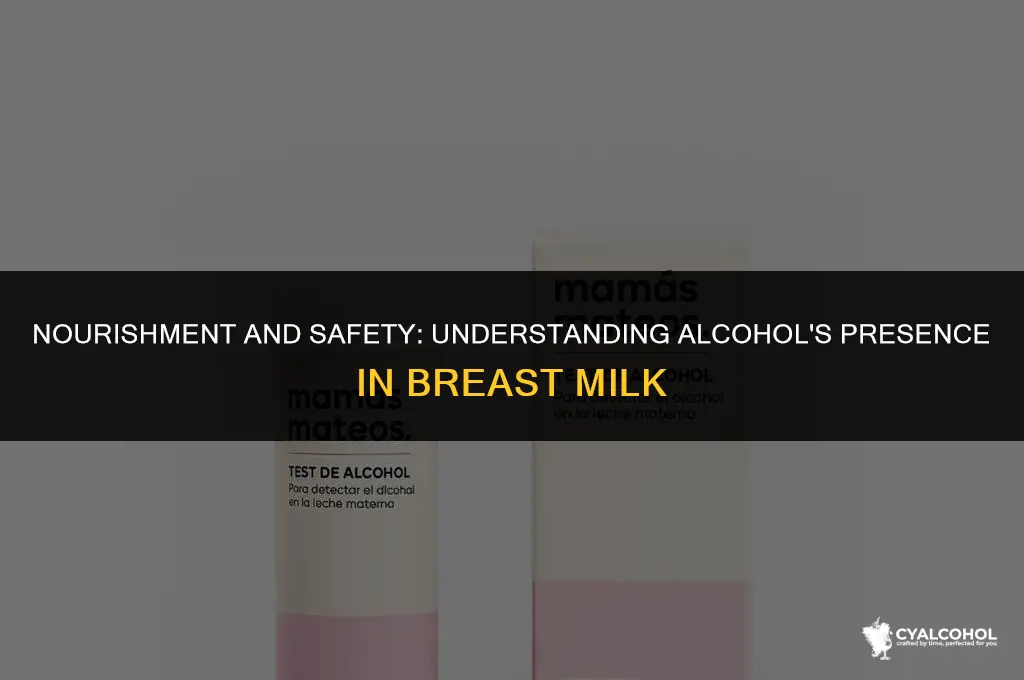 does breast milk filter alcohol