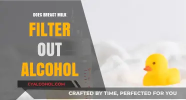 Breast Milk and Alcohol: Does It Filter Out or Pass Through?