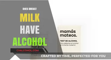 Exploring the Truth: Alcohol Content in Breast Milk