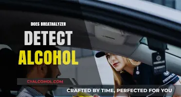 Can Breathalyzers Accurately Detect Alcohol in Your System?