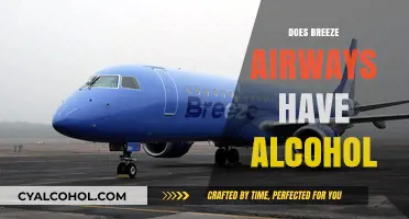 Sipping Above the Clouds: Alcohol Options on Breeze Airways